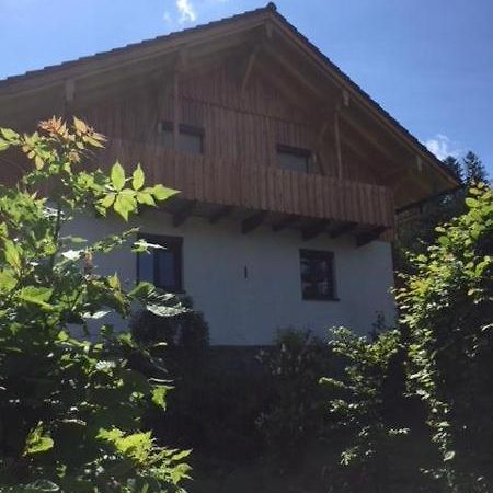 Schweizer Haeusl Daire Bayerisch Eisenstein Dış mekan fotoğraf